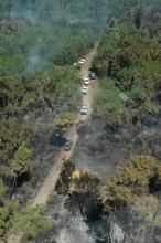 Incendi boschivi, prorogato al 30 settembre il divieto di abbruciamento