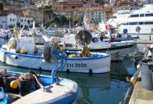 Pesca, contributi per oltre 1 milione di euro per innovazione e sviluppo del settore