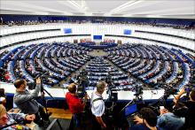 Ogm: plenaria boccia nuove autorizzazioni