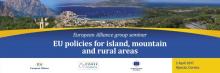 Participation du Président du Conseil Exécutif de Corse à la réunion extraordinaire du groupe Alliance Européenne et au séminaire relatif aux « politiques de l'UE en faveur des régions insulaires, de montagne et rurales »