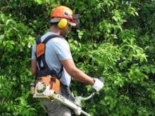 Cooperativa Terra Uomini Ambiente, via libera alla Cig in deroga