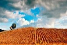 Agricoltura, Remaschi: ''Garanzie gratuite al 50% per sostenere investimenti e innovazione del settore''