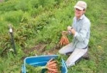 Agricoltura, bando per aspiranti imprenditori under 40