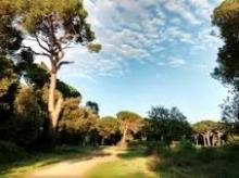 La festa dell'albero, un convegno a San Rossore