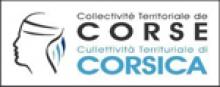 Direction de la Culture et du Patrimoine : responsable des affaires administratives du Musée de la Corse