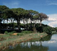 Parchi, riserve e biodiversità, gli impegni e le risorse per il 2019