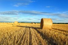 Actions d’information et de promotion concernant les produits agricoles mises en œuvre (marché intérieur et pays tiers)