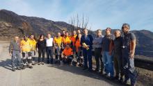 Incendio Monti Pisani, Remaschi: "Già realizzati taglio bosco e graticciate. A Calci corsa contro il tempo"