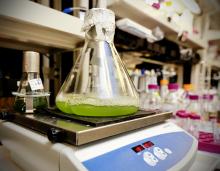Direttiva Iluc: biocarburanti; Pe, primo ok accordo