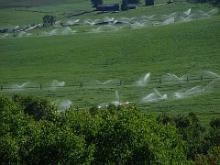 Contributi per migliorare l'irrigazione nelle aziende agricole