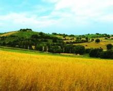 Approvati gli "standard minimi" del prodotto turistico: così i territori valorizzeranno le loro tipicità