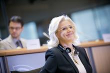 Citta': Cretu presenta agenda urbana Ue